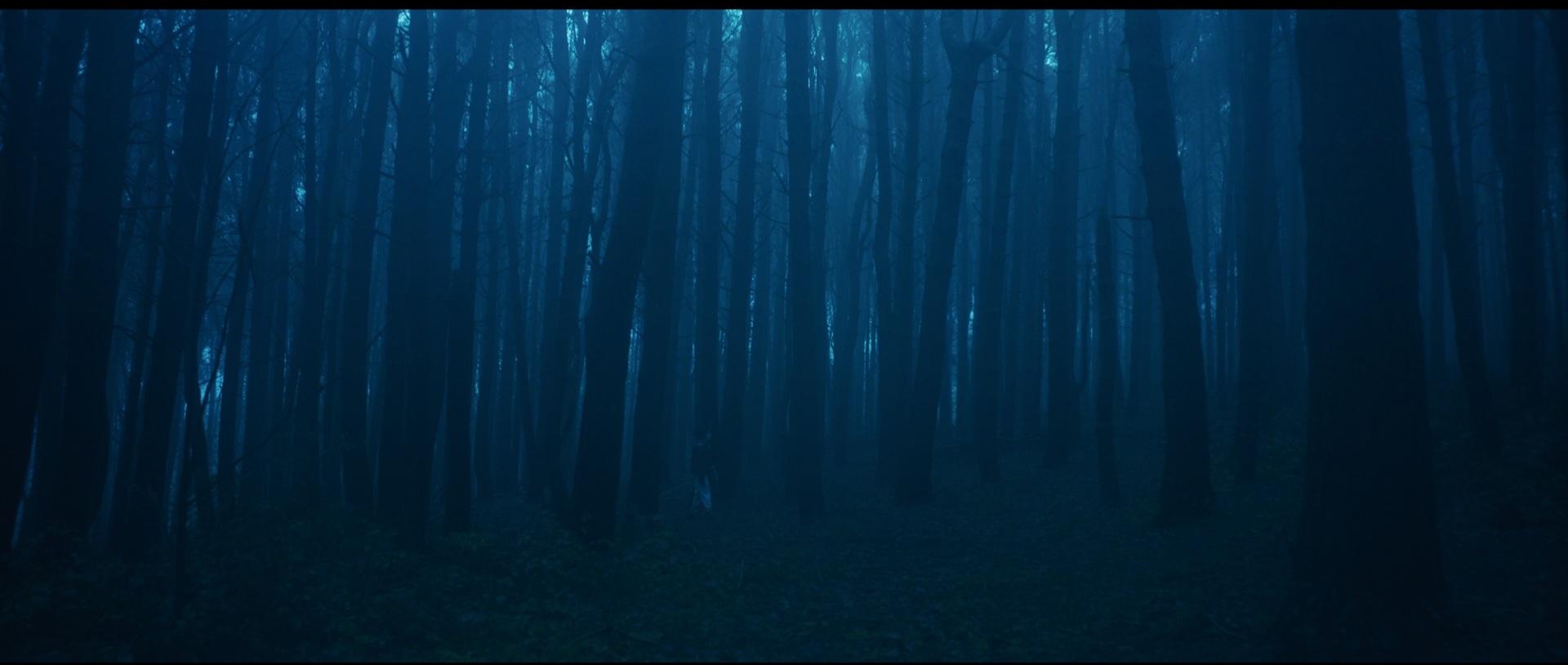 Film still from Nothing Gold Can Stay