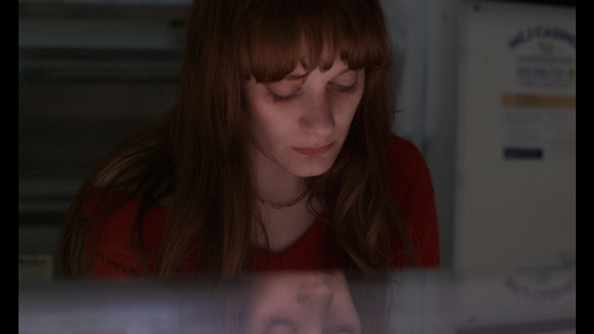 After Francis — Anne reflected in the butcher shop